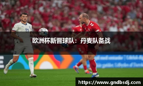 欧洲杯新晋球队：丹麦队备战