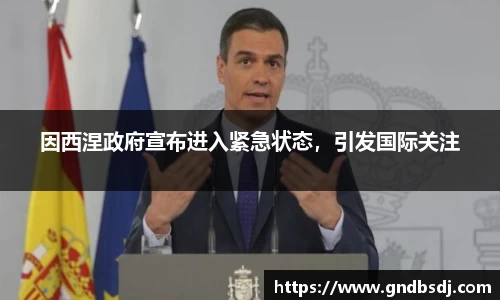 因西涅政府宣布进入紧急状态，引发国际关注